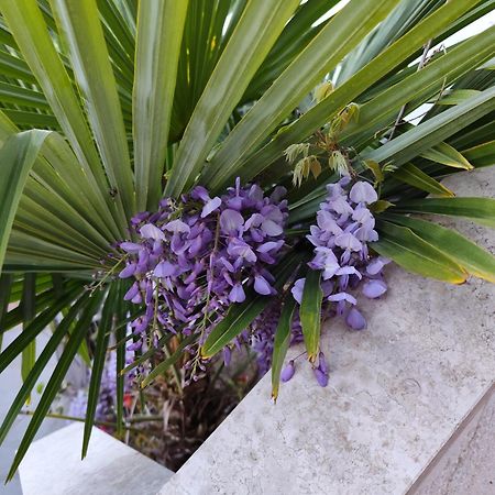 Apartments Poretti For 2,In Center Parking Free In The Yard,6 Min Beach Walk Rovinj Exterior photo
