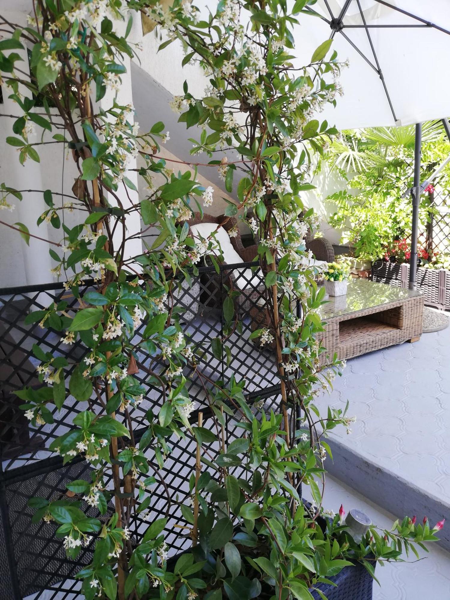 Apartments Poretti For 2,In Center Parking Free In The Yard,6 Min Beach Walk Rovinj Room photo